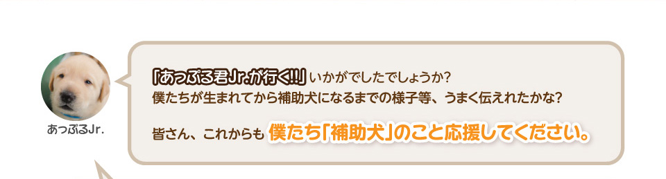 「あっぷる君Jrが行く!」いかがでしたでしょうか?僕たちが生まれてから補助犬になるまでの様子等、うまく伝えれたかな?皆さん、これからも僕たち「補助犬」のこと応援してください。