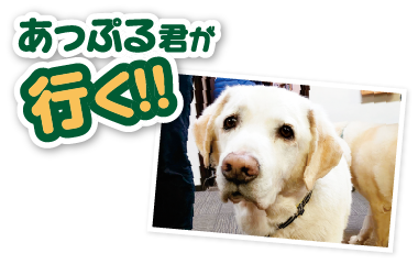 あっぷる君が行く!!