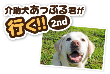 介助犬あっぷる君が行く!!2nd