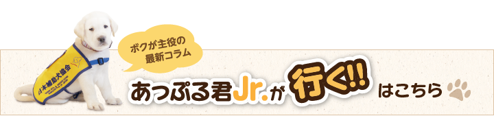 あっぷる君Jr.が行く!!はこちら
