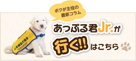 あっぷる君Jr.が行く!!はこちら