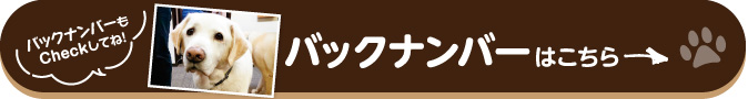 今までのあっぷる君が行く！はこちら