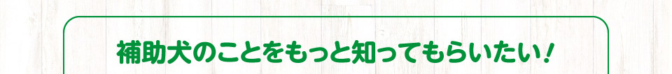 補助犬のことをもっと知ってもらいたい！