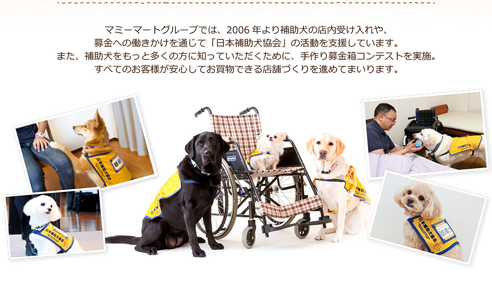 マミーマートグループでは、2006年より補助犬の店内受け入れや、募金への働きかけを通じて「日本補助犬協会」の活動を支援しています。
また、補助犬をもっと多くの方に知っていただくために、手作り募金箱コンテストを実施。すべてのお客様が安心してお買物できる店舗づくりを進めてまいります。