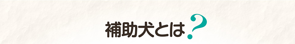 補助犬とは