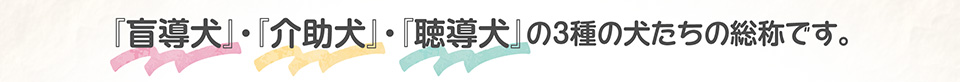 『盲導犬』・『介助犬』・『聴導犬』の3種の犬たちの総称です。