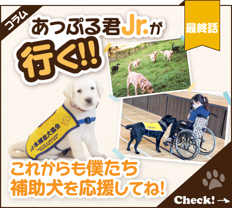 あっぷる君Jr.が行く