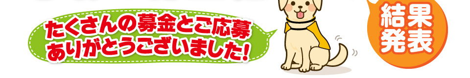 たくさんの募金とご応募ありがとうございました