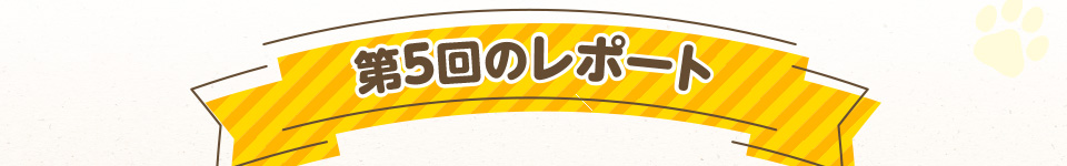 第5回のレポート